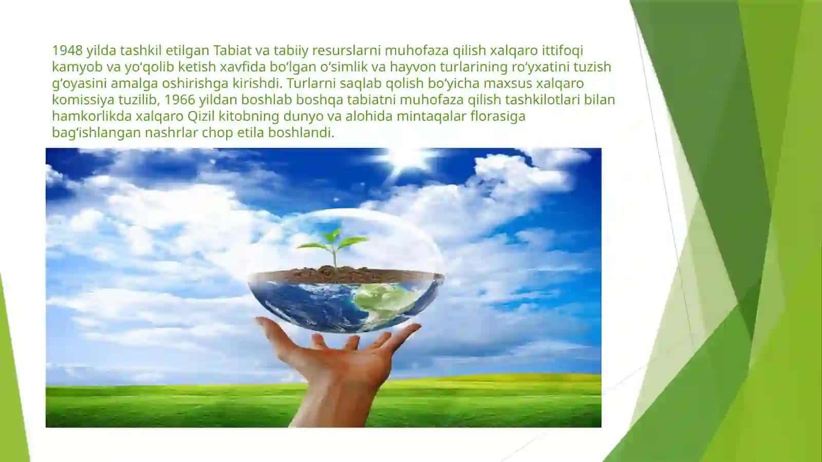 Qizilkitob 4