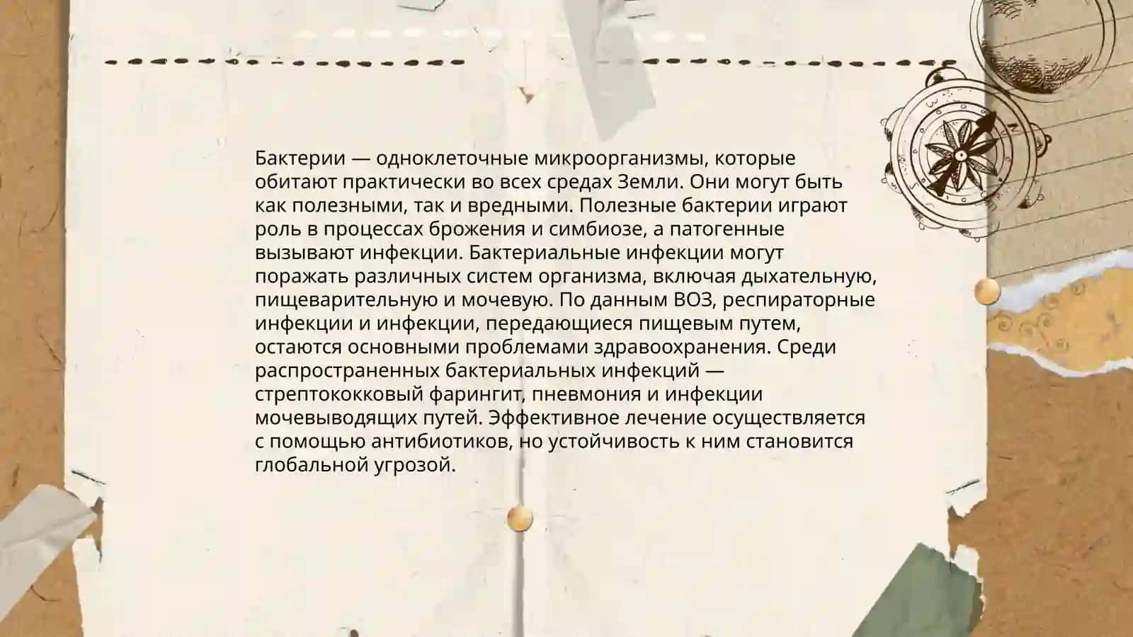 Микроорганизмы- причина заболеваний 4