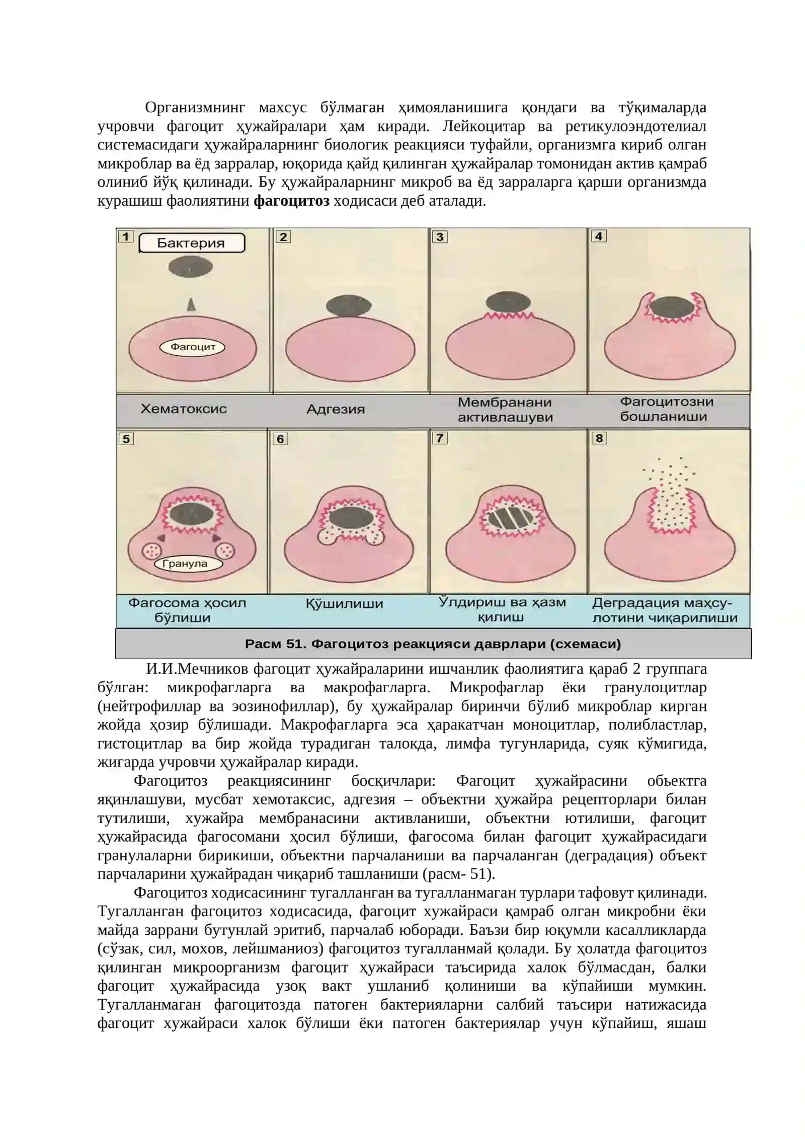 Иммунология 4