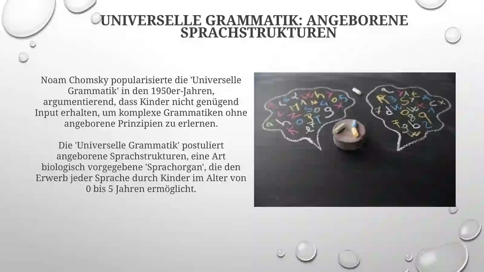 Die Entstehung der Allgemeinen Sprachwissenschaft 4