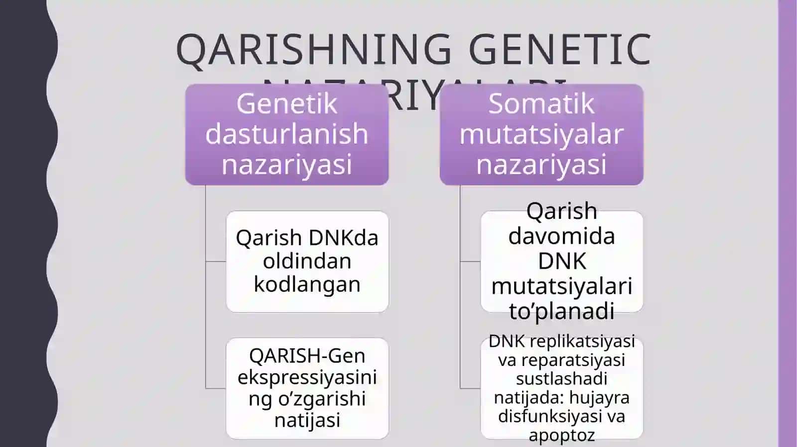 Gerontologiya va uning vazifasi 4