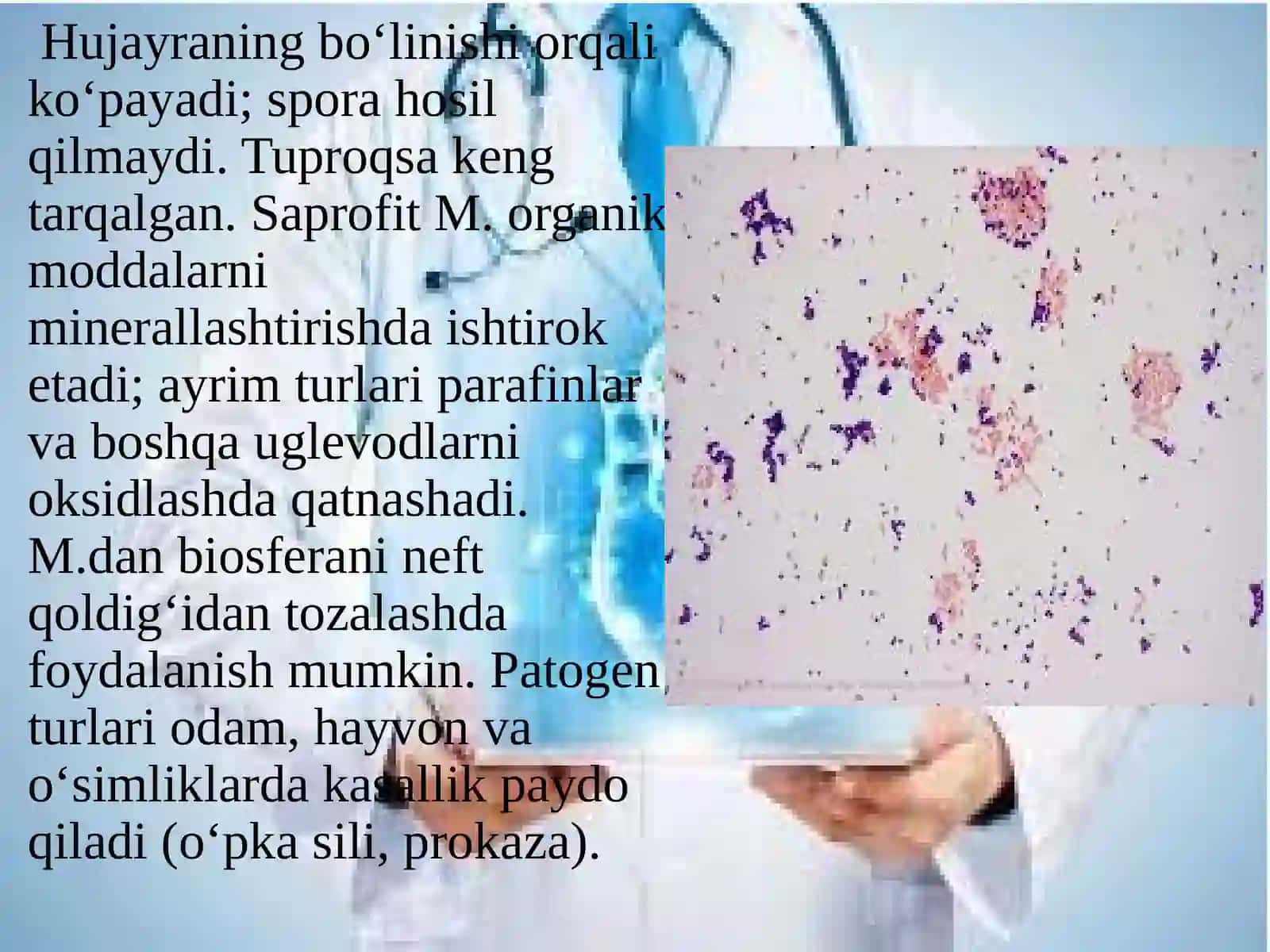 ATIPIK MIKOBAKTERUYALAR VA ULARNI AMALIYOTDAGI AHAMIYATI 4