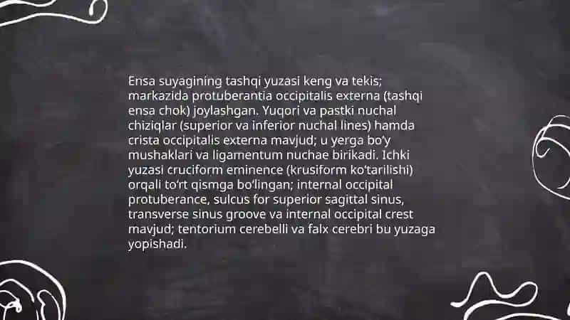 Ensa suyagi 4