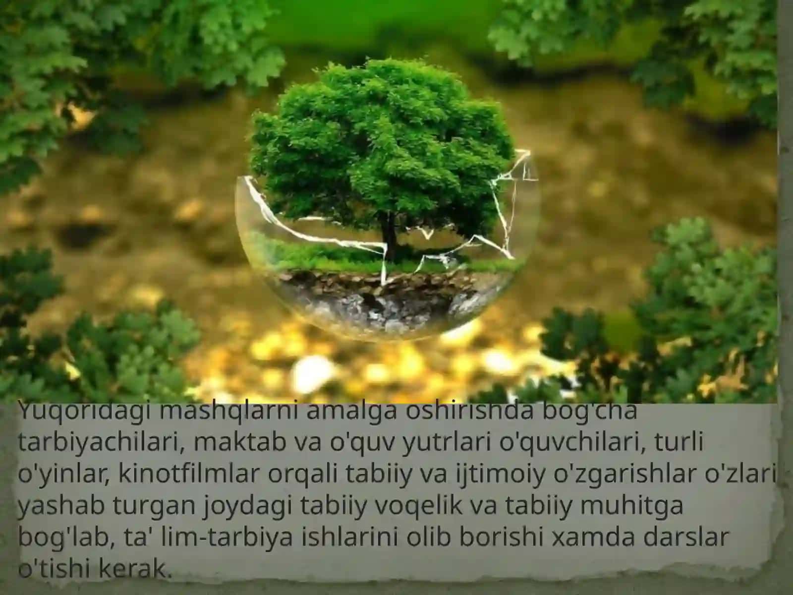 Ekologikta'lim-tarbiya 4