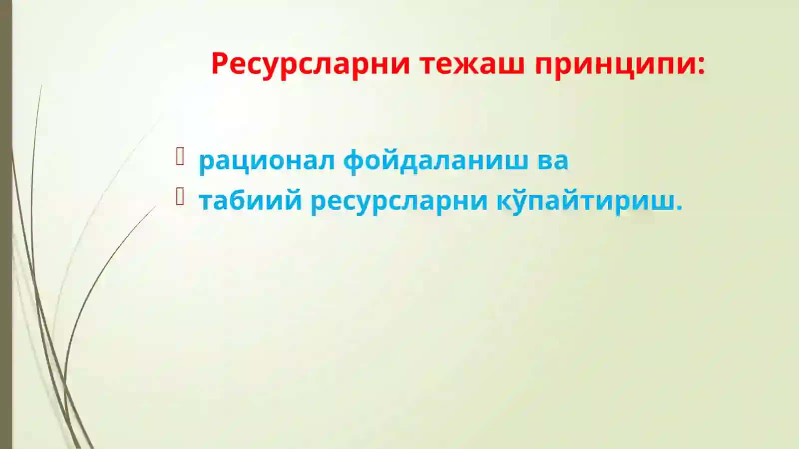 Яшил ривожланишни бошқаришнинг асосий тамойиллари, воситалари 4