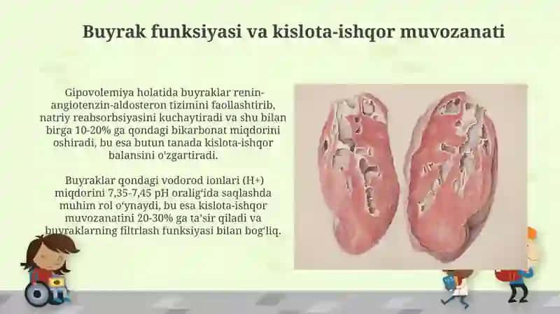 Nafas va metabolik atsidoz va alkalozlarni kelib chiqishi biokimyoviy tashxisi 4