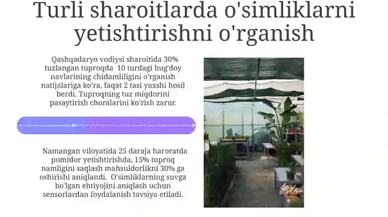 O'simliklarni turli xil sharoitda o'stirishni O'rganish 4