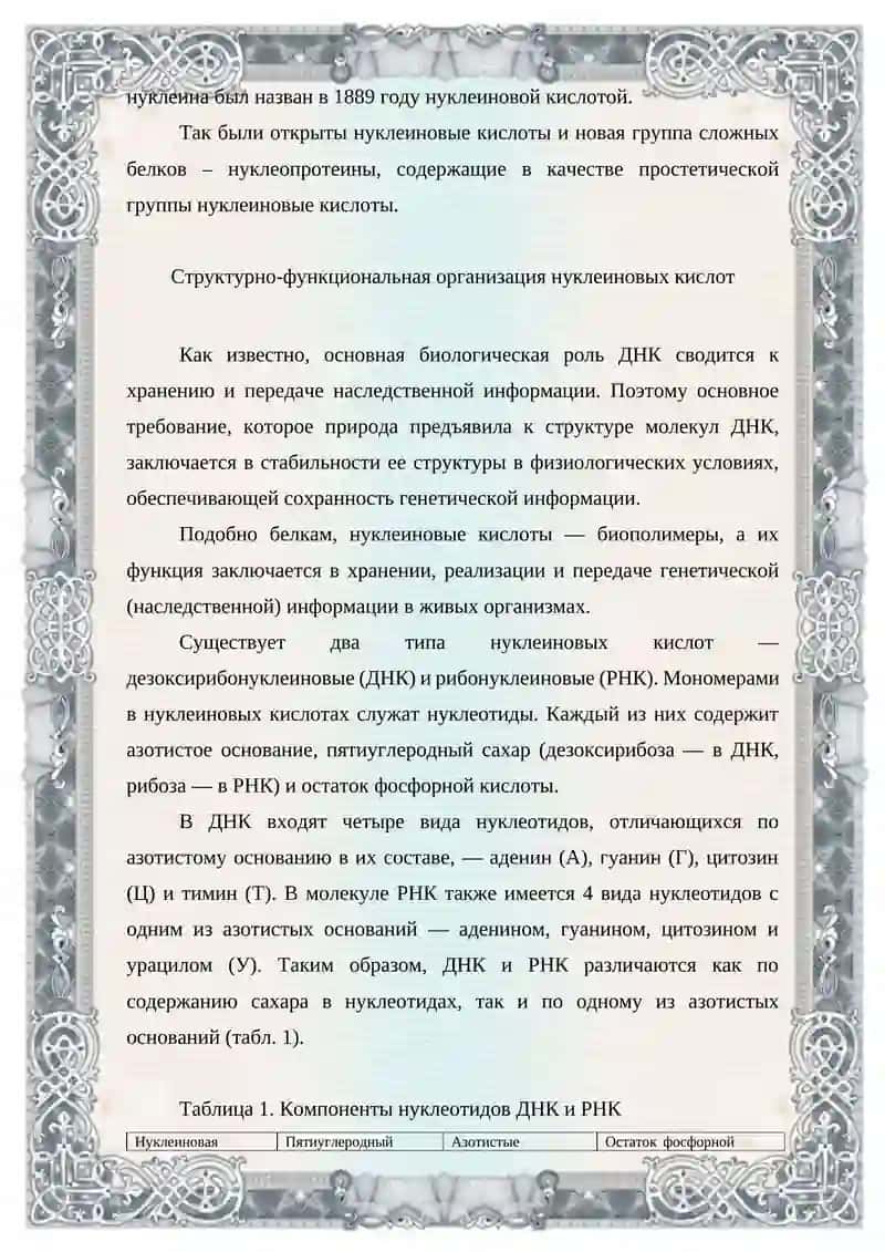 НУКЛЕИНОВЫЕ КИСЛОТЫ И ИХ СОСТАВ 4