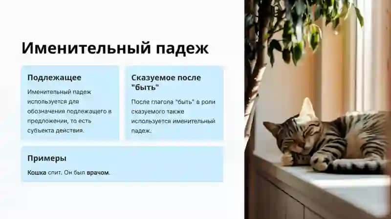 Определение падежа имен существительных 4
