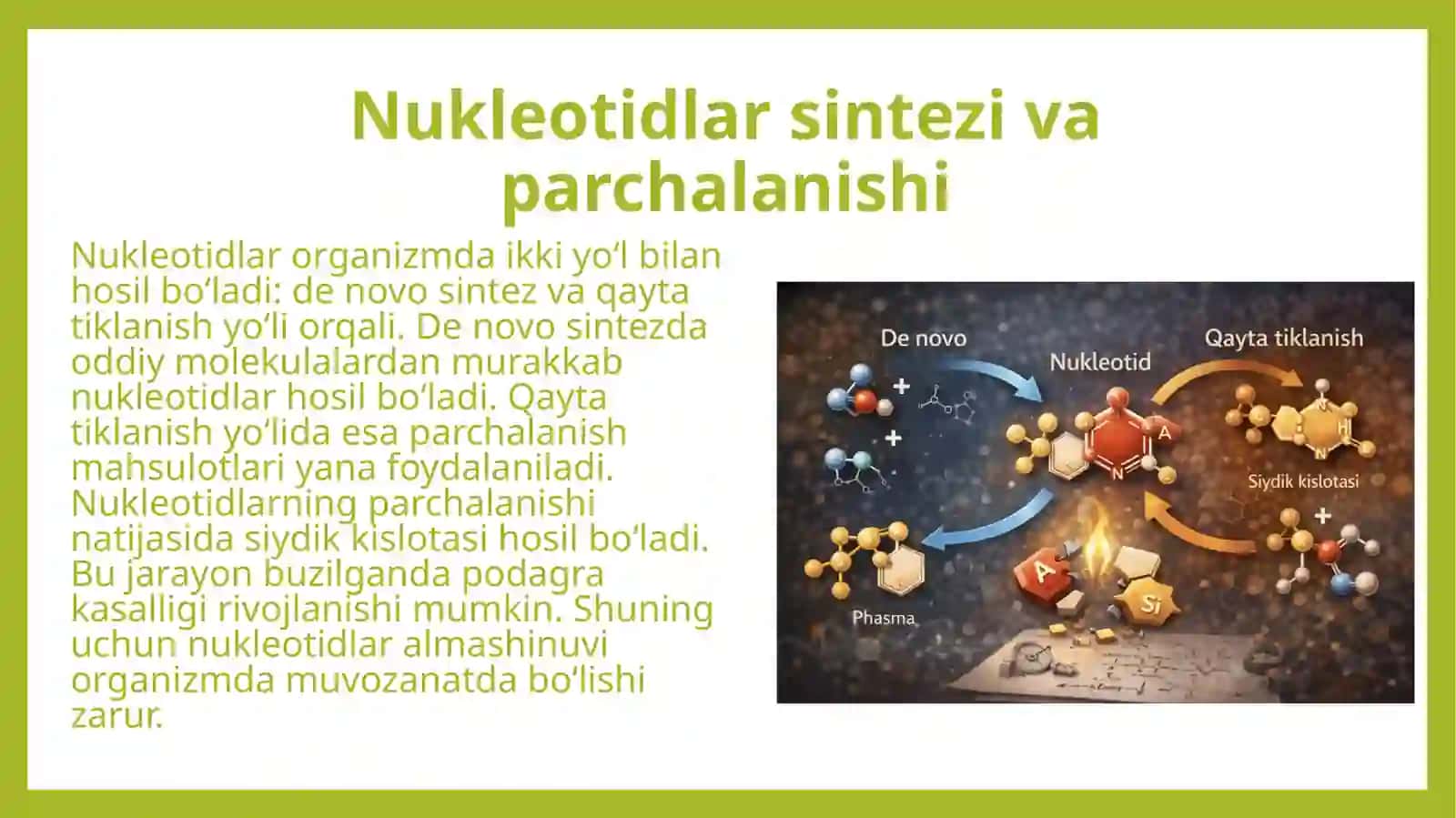 Nukleotidlar almashinuvi. Uglevod, yogʻ, aminokislotalar almashinuvining oʻzaro bogʻliqligi 4
