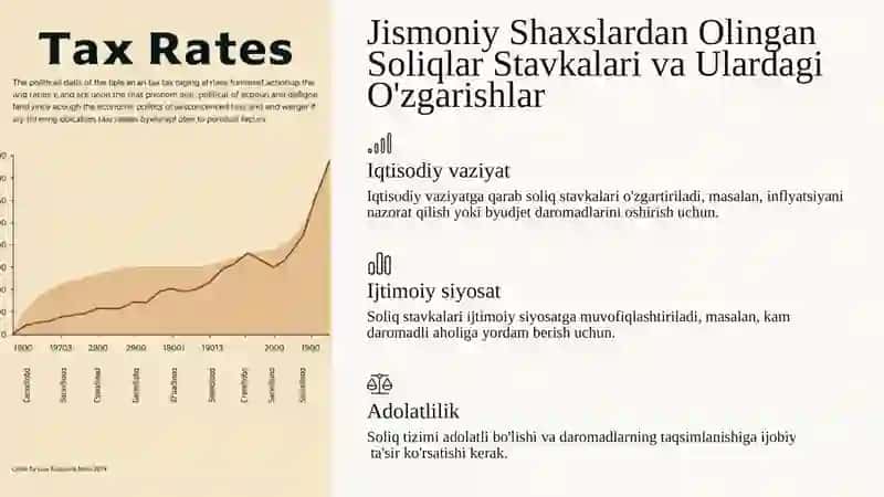 Jismoniy Shaxslardan Olingan Soliqlar: Iqtisodiy Mohiyat va Byudjet Daromatlariga Ta'siri 4