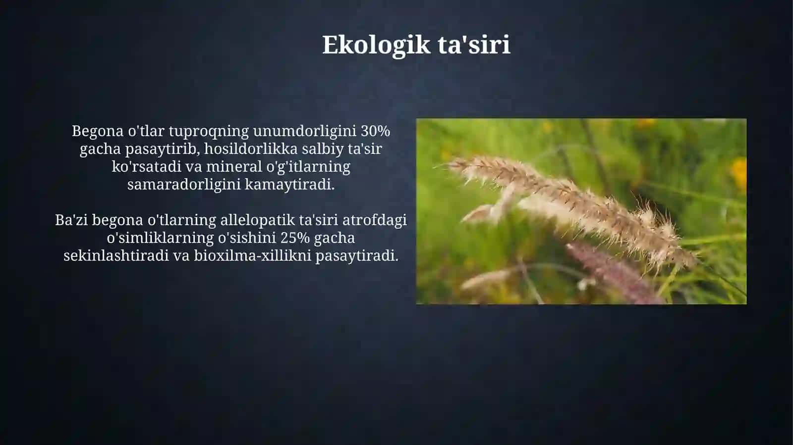 Begona o'tlarga qarshi kurash usullari 4