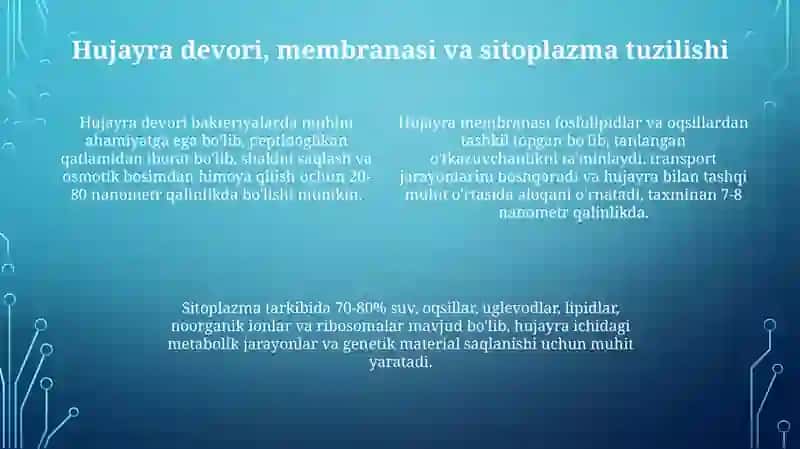 Bakteriyalarning morfologiyasi va tuzilishi 4