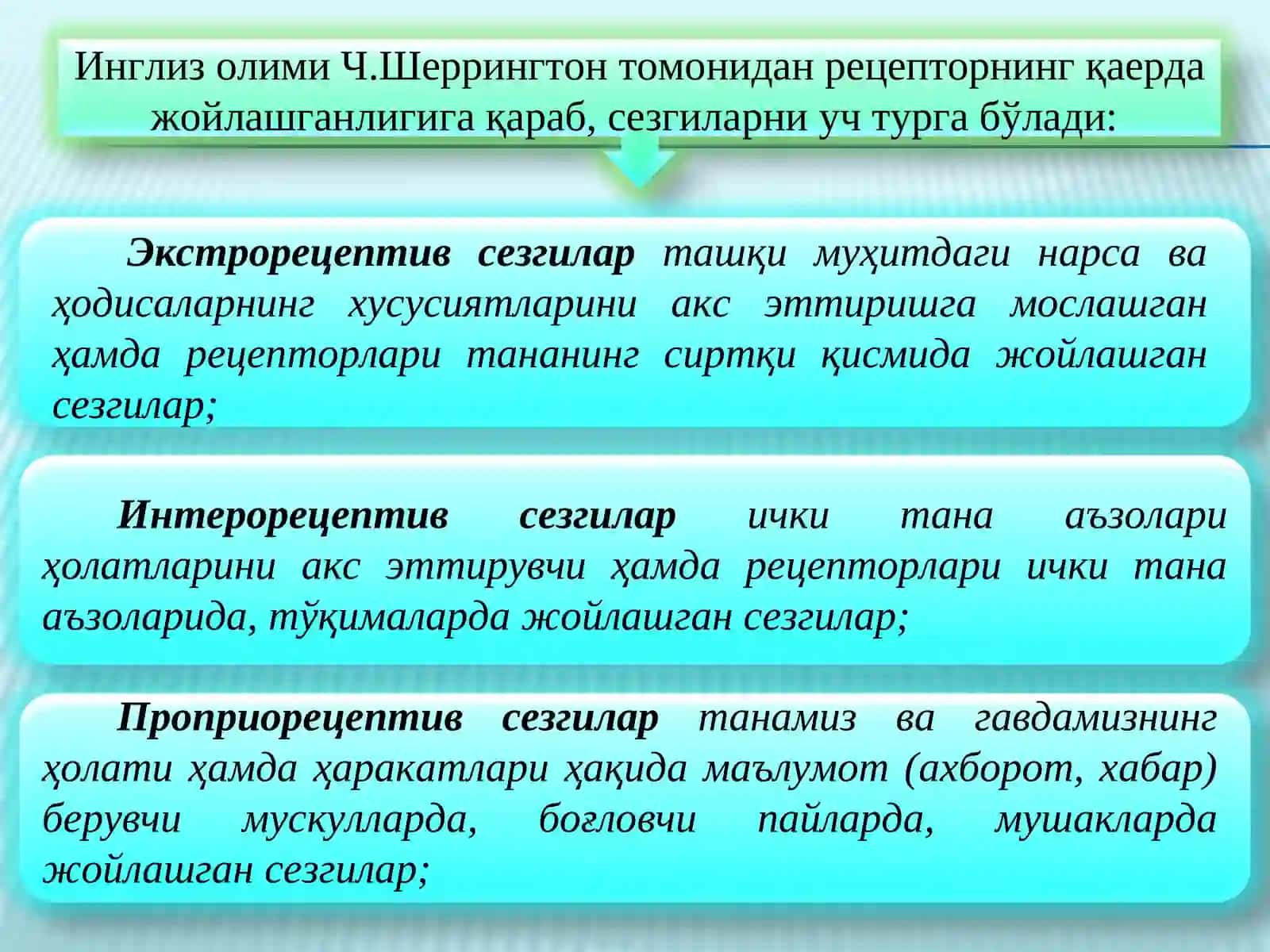 Сезги 4