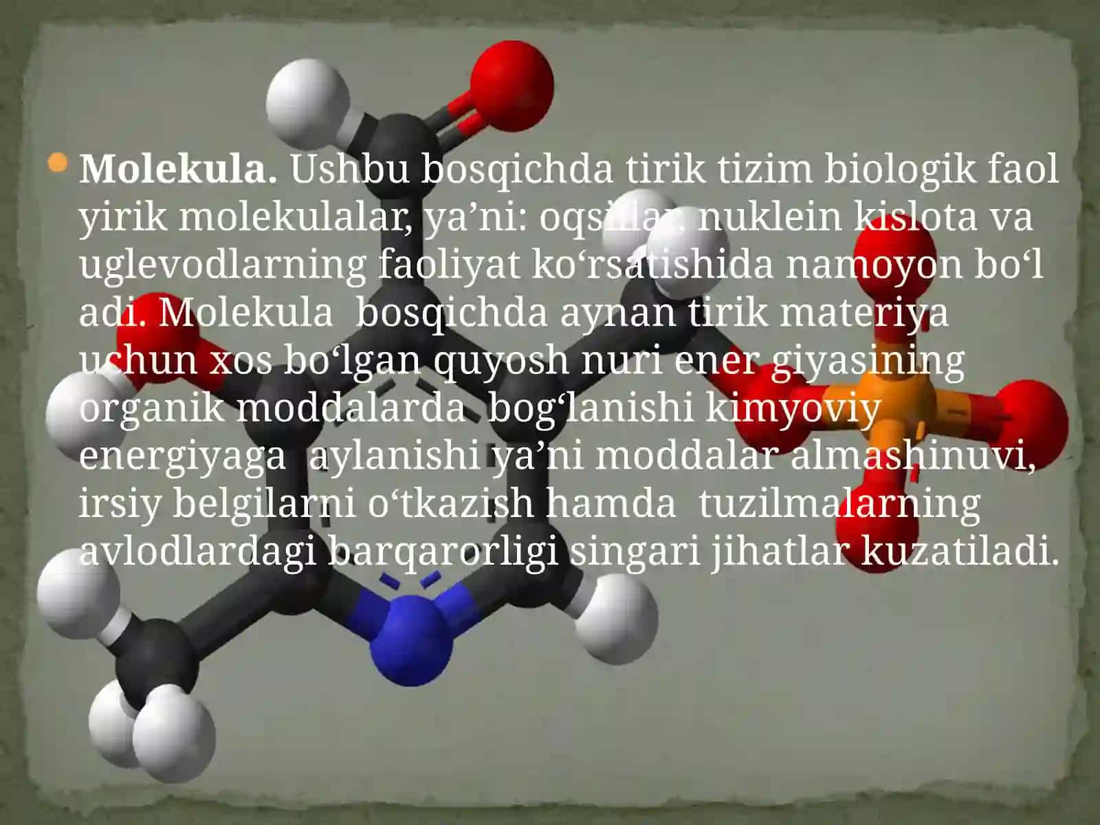 Biologiya. Sitologiya va genetika asoslari darsligi 4