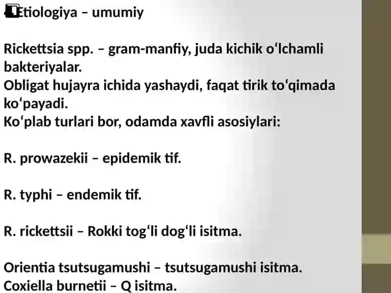 Rekketsiozlar 4