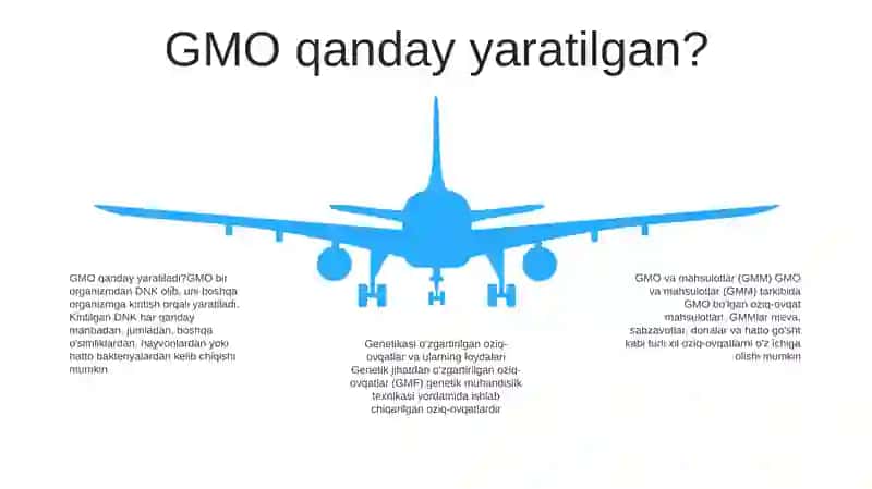 Genetik Modifikatsiyalangan Organizm (GMO) Va Mahsulotlar (GMM) 4