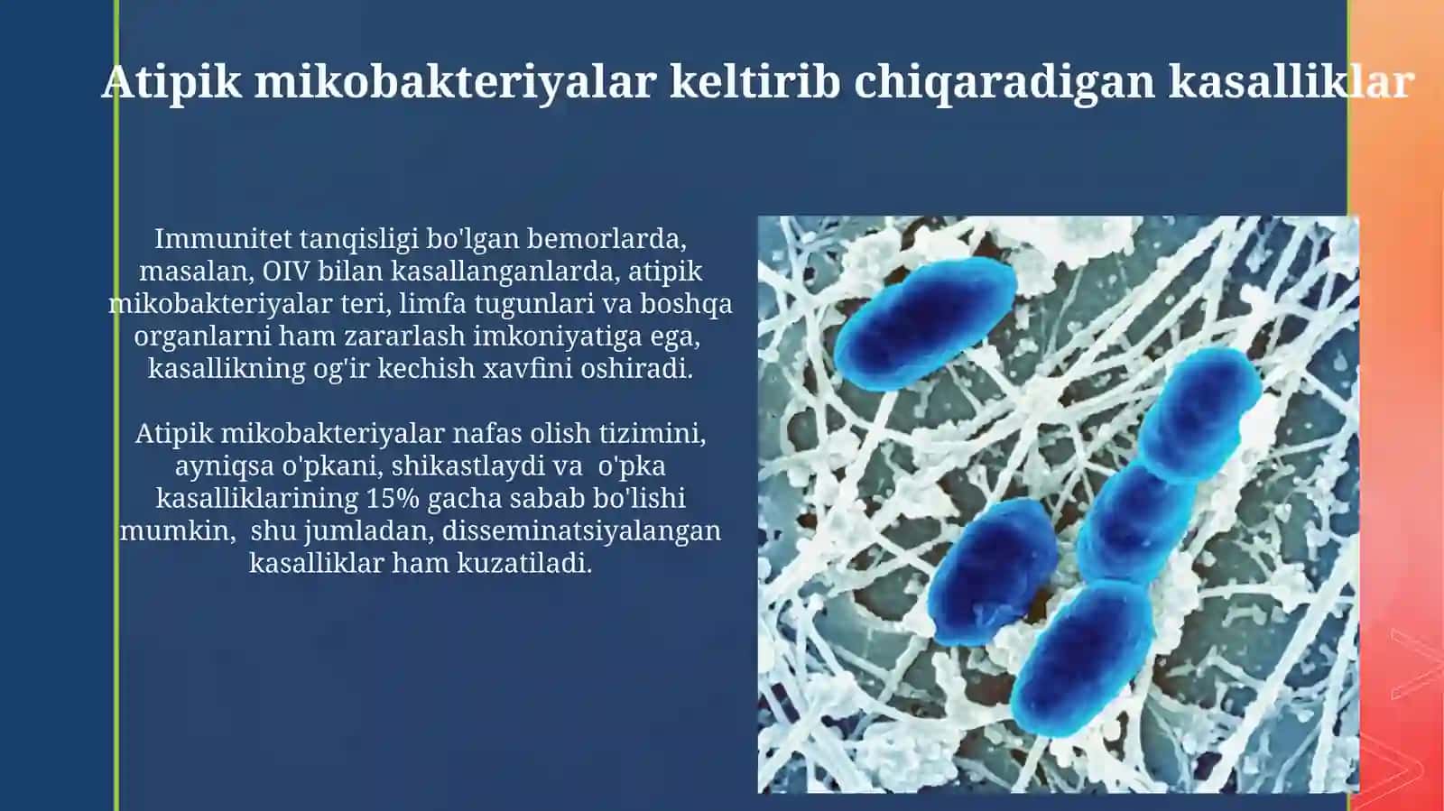 Gemofil Bakteriyalar va Atipik Mikobakteriyalar: Klinik Ahamiyati 4