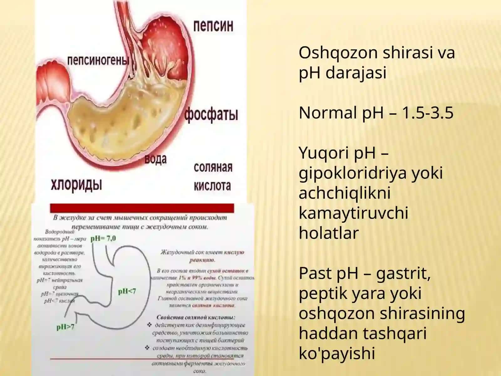 Oshqozon shirasini interpretatsiyasi 4