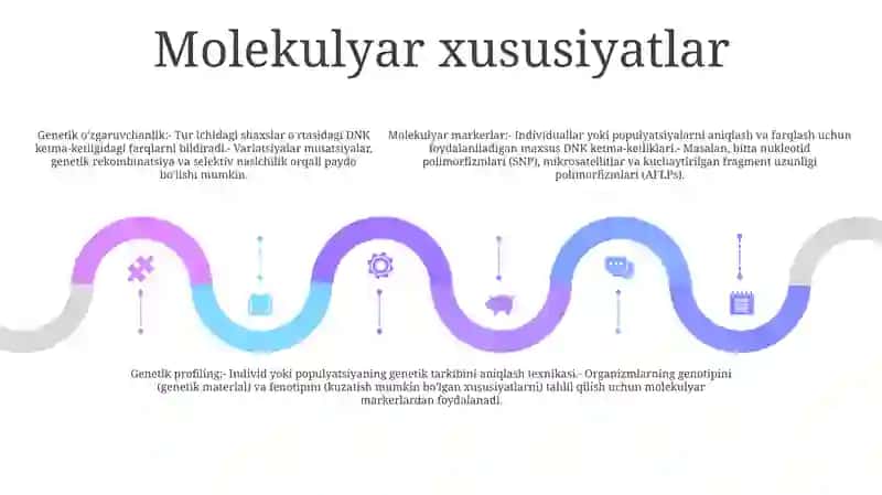 Ketteltning Shaxsni O'Rganishdagi Ma'Lumot Turlari 4