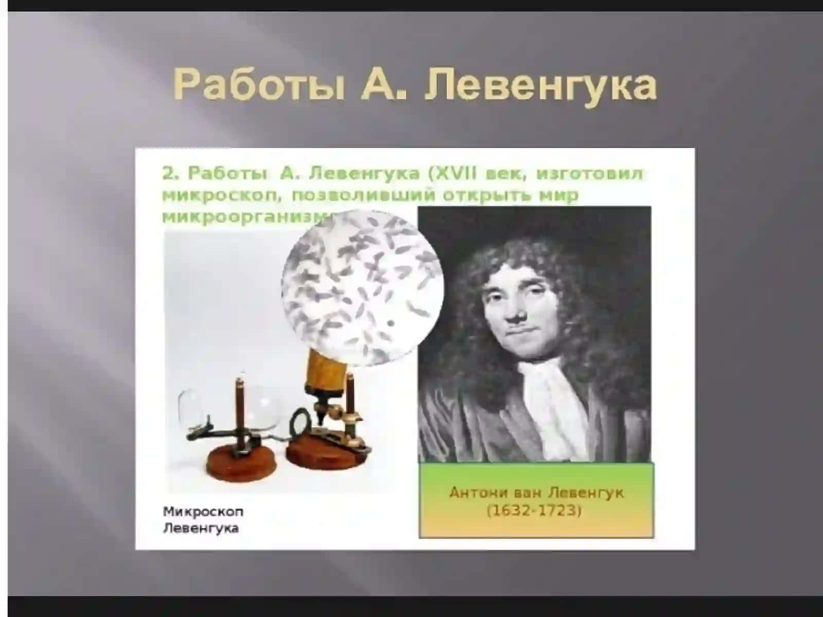 Hujayra biologiyasi. Sitologiyaning rivojlanish bosqichlari. Hujayra taʼlimoti. Shvanning hujayra nazariyasi 4