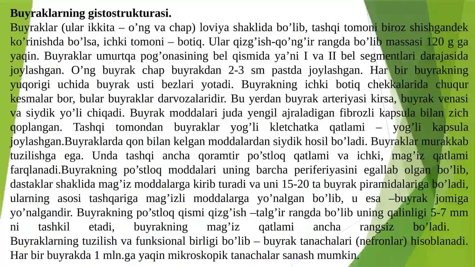 MA'RUZA. Ayiruv tizimifiziologiyasi 4