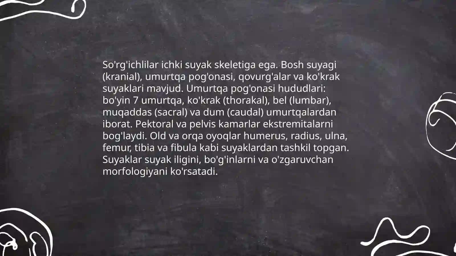 So'rg'ichlilar sinfi 4