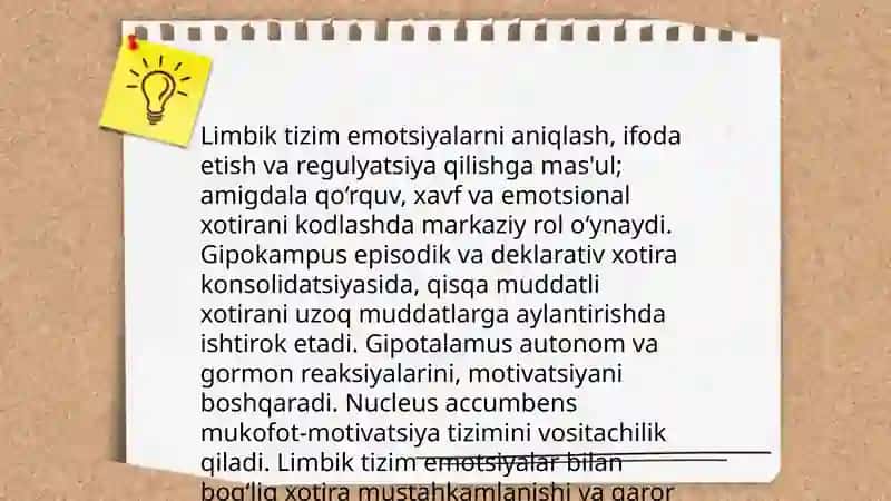 Limbik tizim 4