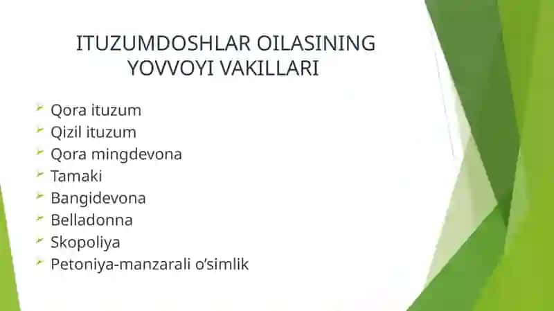 Ituzumdoshlar oilasi 4