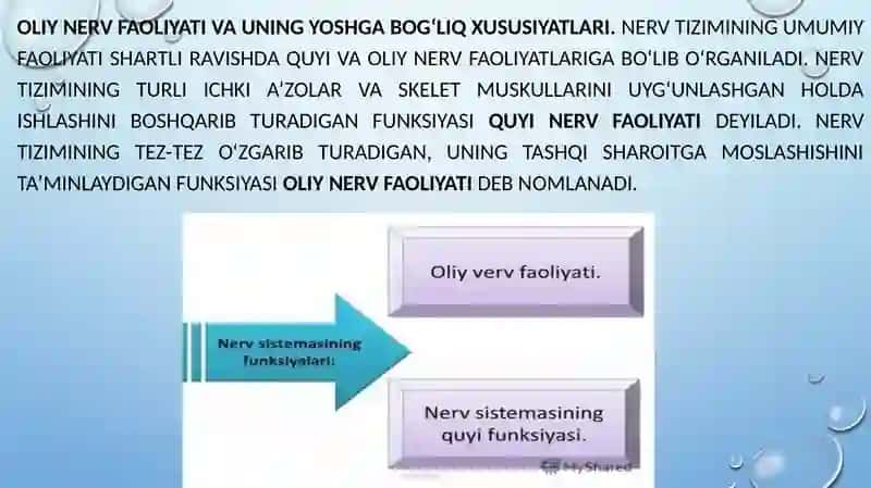 Oliy nerv faoliyati va uning yoshga bog‘liq xususiyatlari 4
