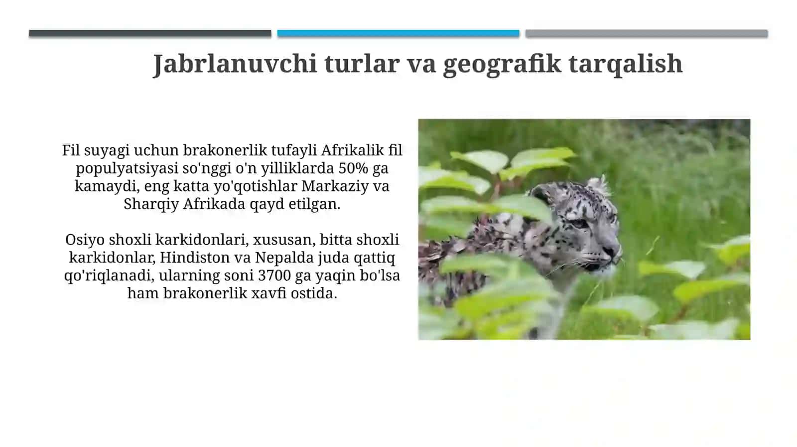 Ovchilik va yovvoyi hayvonot dunyosiga jinoyatlar 4