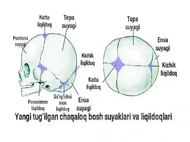 Tug'ruqvatug'ruqdavrlari 4