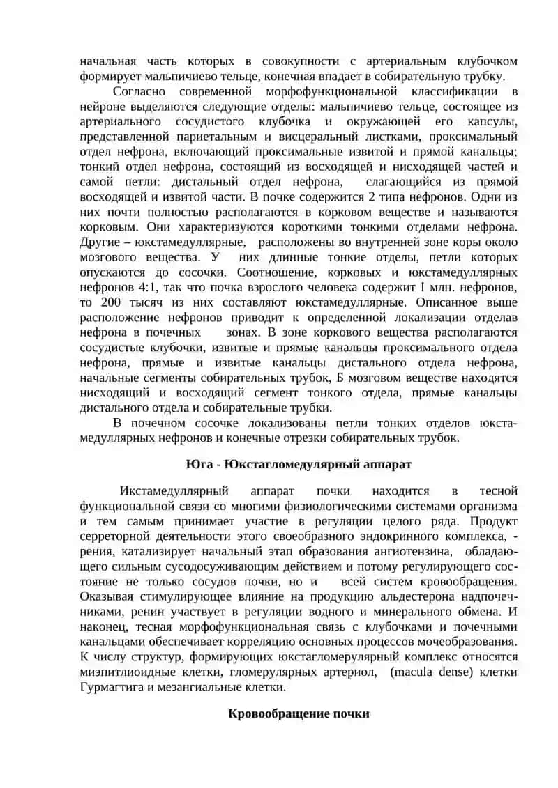 ЛЕКЦИЯ 10: « мочеВЫДЕЛИТЕЛЬНАЯСИСТЕМА эндокриннЫЕ ЖЕЛЕЗЫ» 4