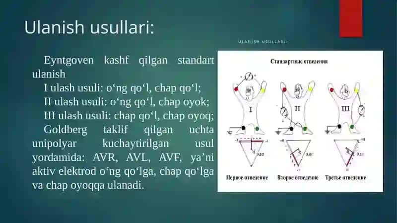 Yurak faoliyatini tekshirish usullari 4
