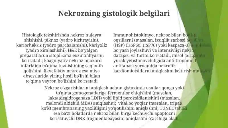 Immunogistokimyoviy usul haqida tushuncha 4