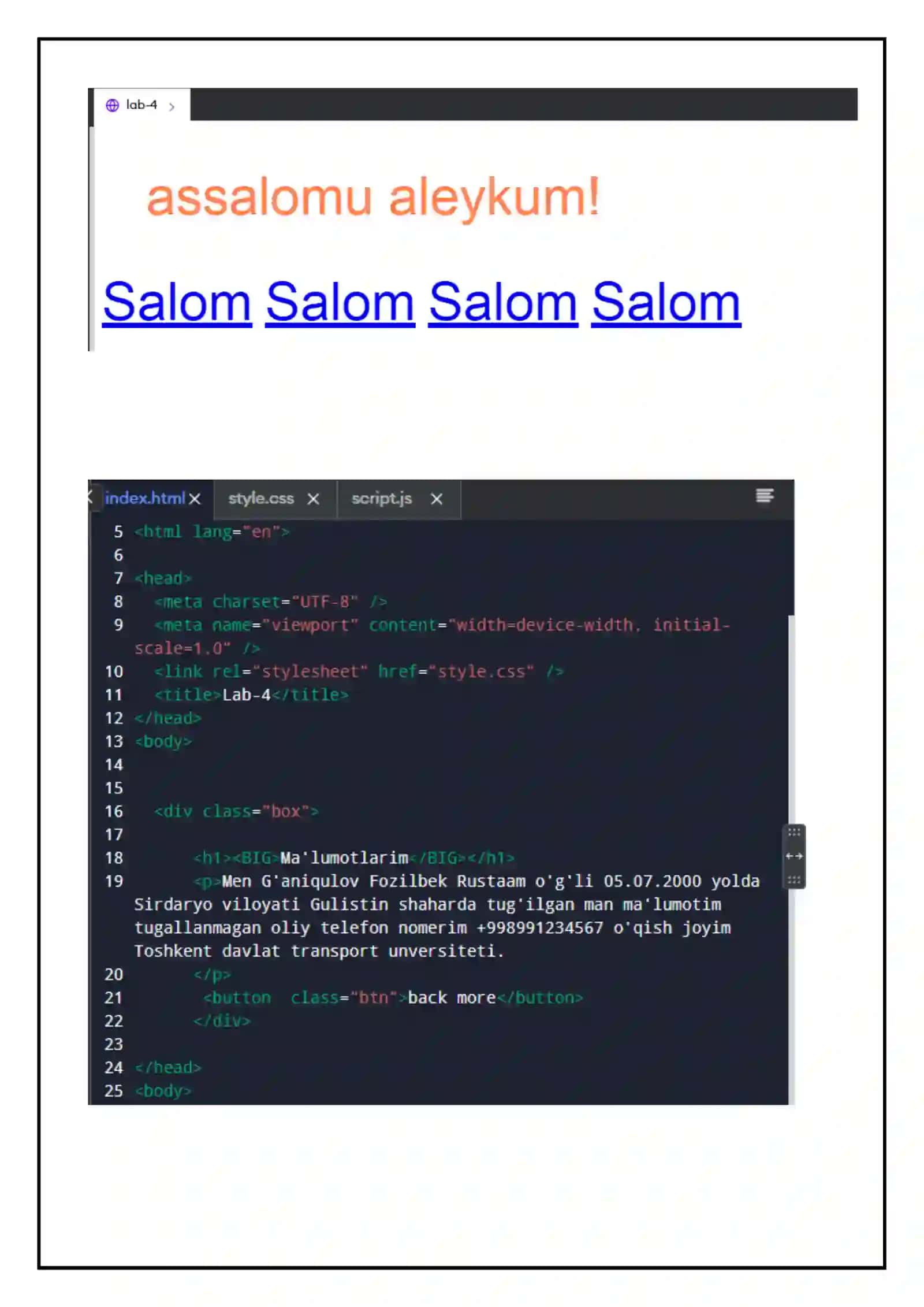 CSS (Kaskadli jadvallar usuli)ning ishlatilishi 4