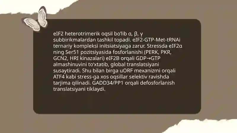 Prokariot va eukariot translatsiya boshlanishi: asosiy inisiatsiya omillari (IFs vs eIFs) 4