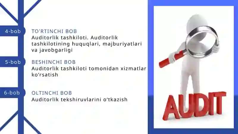 AUDITORLIK FAOLIYATI 4