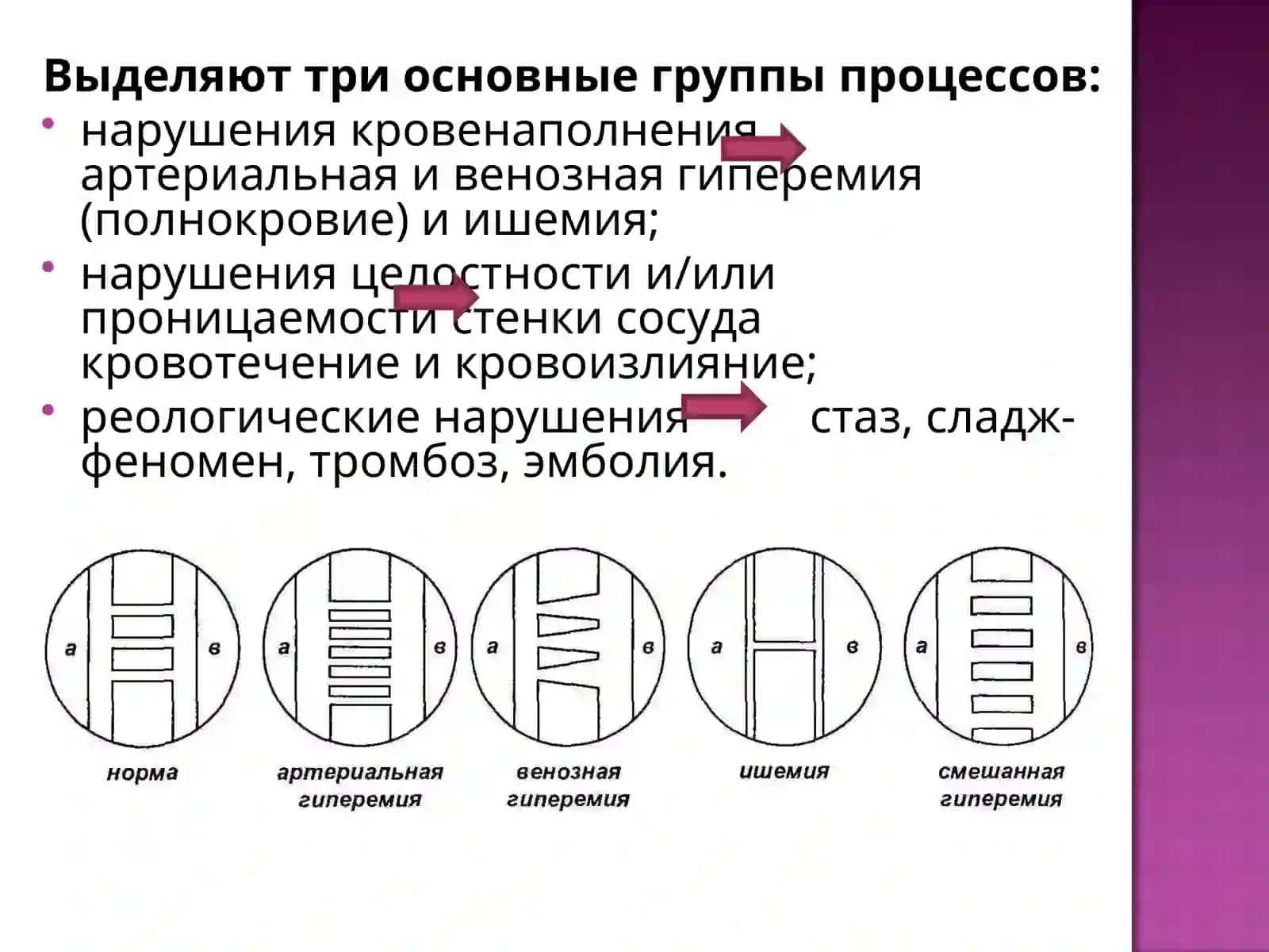 Кровенаполнения процесслари 4