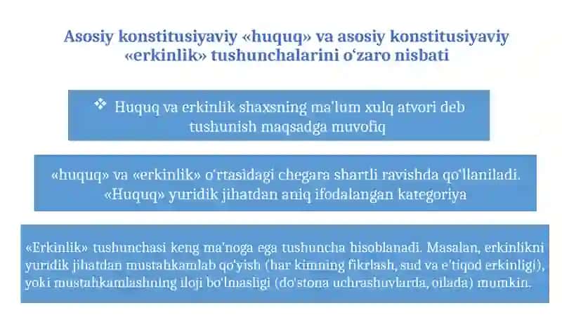 INSON HAMDA FUQARONING HUQUQ VA ERKINLIKLARI KAFOLATLARI.  FUQAROLARNING KONSTITUTSIYAVIY BURCHLARI. 4
