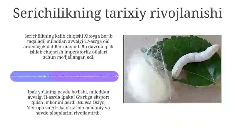 Jahon pillachilik geografiyasi 4
