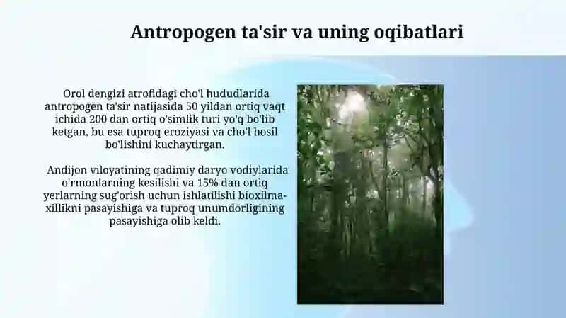 Daryo bo'yi o'rmonlarini tiklash usullari 4