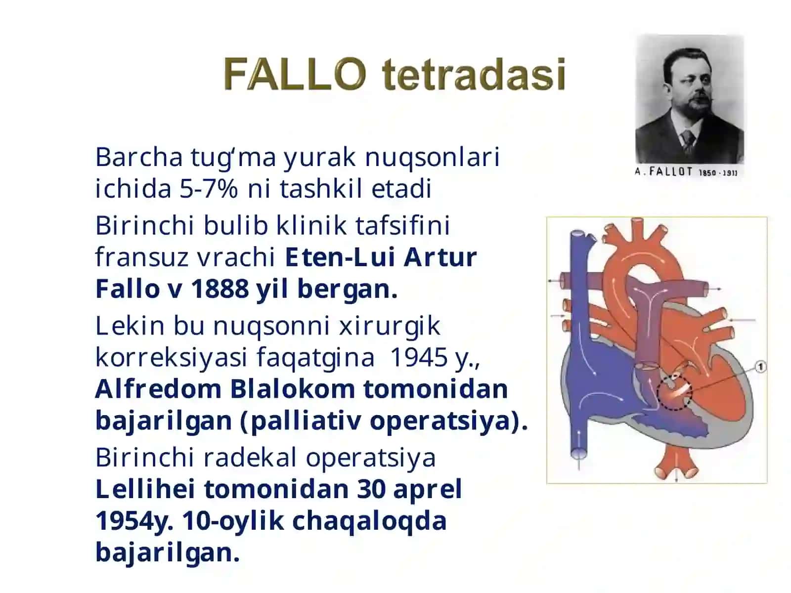 Tug‘ma yurak nuqsonlari embronal davirdagi rivojlanishdagi buzilishlar natijasida yurak qong‘tomir sistemasidagi uzgarishlar tufayli rivojlanadi 4