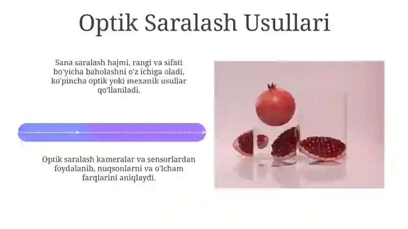Xurmo mevalarining tuzilishi 4