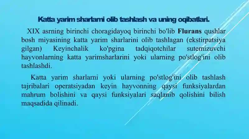 Bosh miya turli bo'limlari faoliyatini o'rganish. Bosh miya yarimsharlar po’stlog'ing fiziologiyasi 4