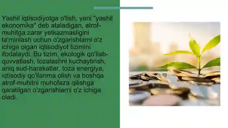 “Yashil iqtisodiyot”ga o’tishning zaruriyati, tamoyillari va dastaklari. 4