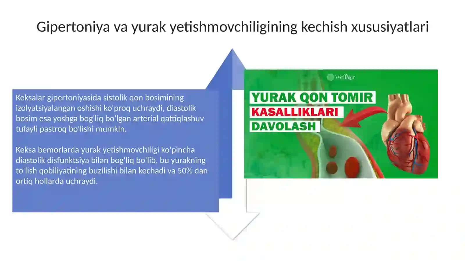 Қарияларда юрак-қон томир тизими касалликларининг ўзига хос хусусиятлари 4