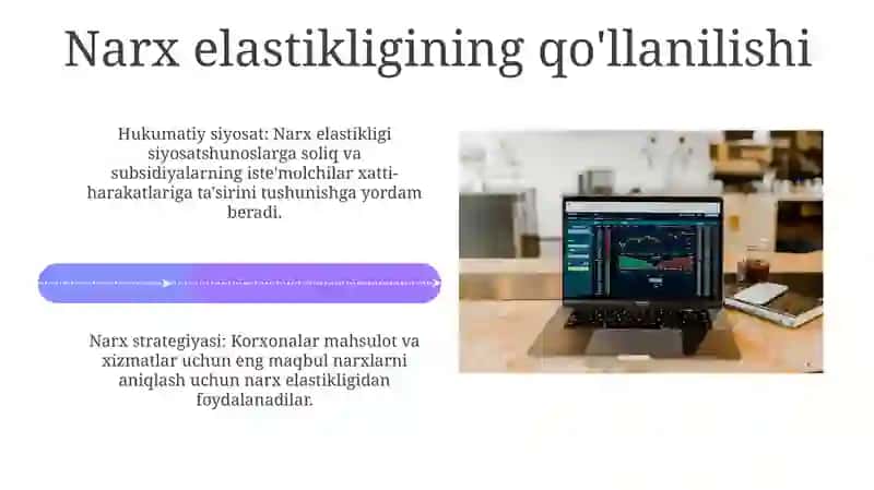 Talab elastikligi 4