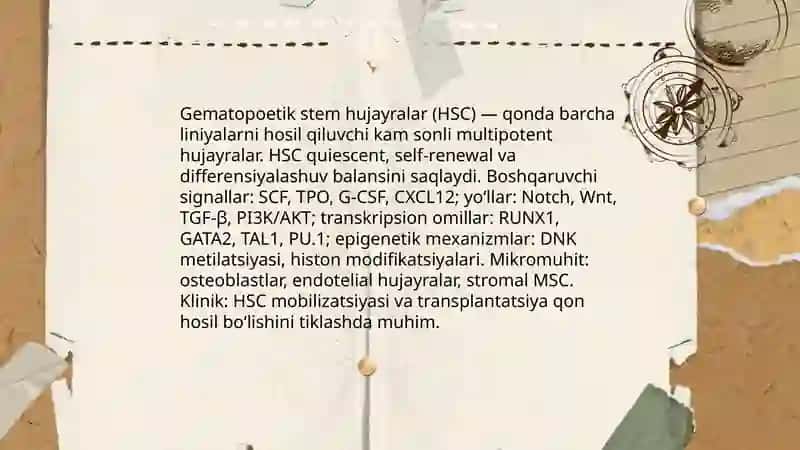Gemotsitopoez jarayonining boshqariluvi 4