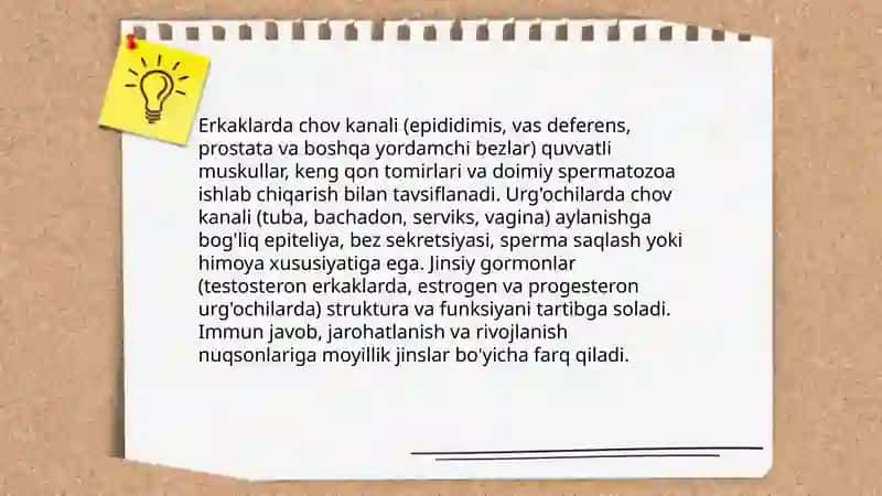 Chov kanalining yosh va jinsga nisbatan xususiyatlari tlar, ichki va tashqi faktorlarni chov churralari va rivojlanish nuqsonlarini hosil bolishiga tasiri 4